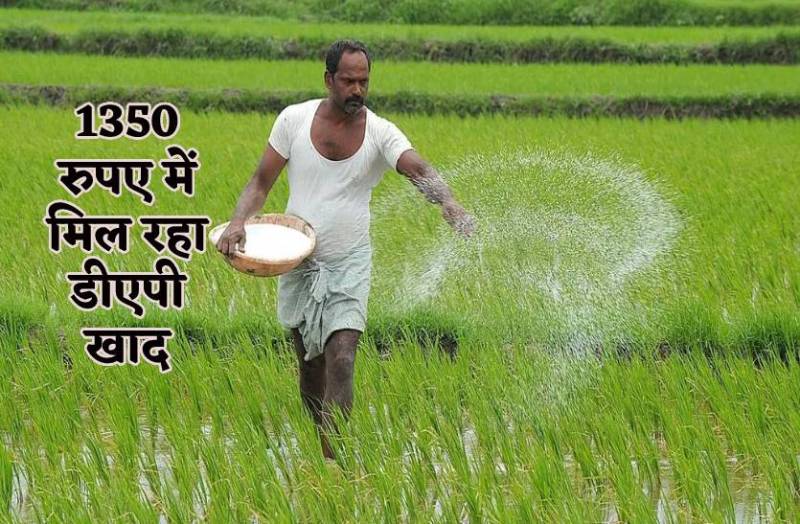 1350 रुपए में डीएपी का कट्टा, फिर भी नहीं मिल रहा खाद