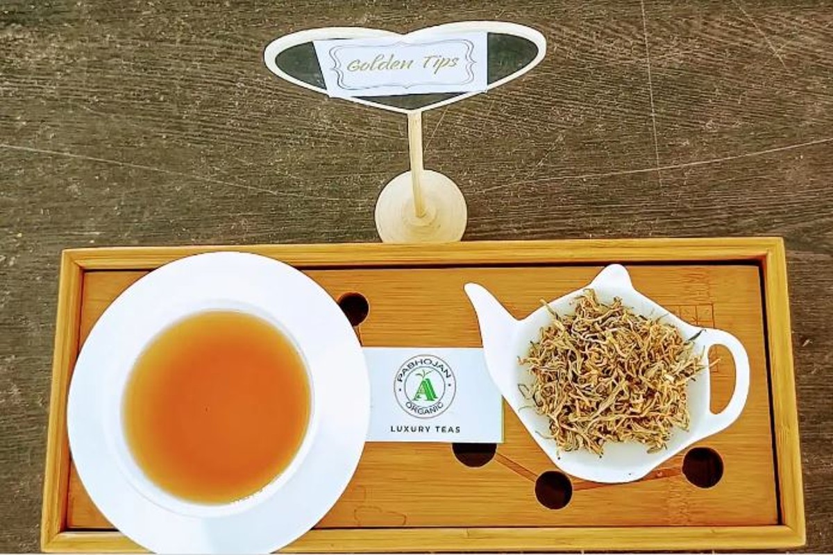 Assam Pabhojan Gold Tea Sold For Rupee 1 lakh Per Kilogram Know Its Speciality