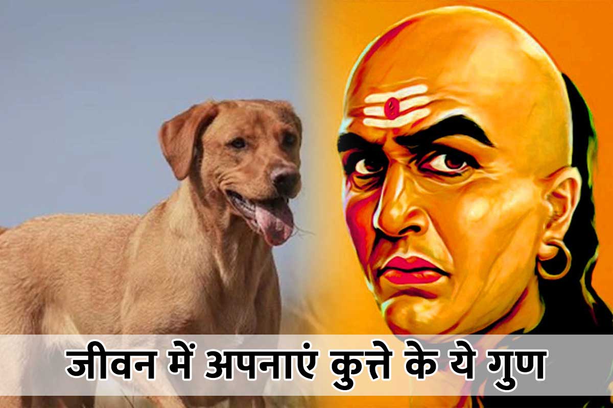 chanakya quotes for success, chanakya quotes for life, chanakya niti to get success, acharya chanakya quotes in hindi, chanakya neeti, chanakya niti for motivation, qualities of dogs, success mantra, LATEST RELIGIOUS NEWS, safalta ka mantra, 