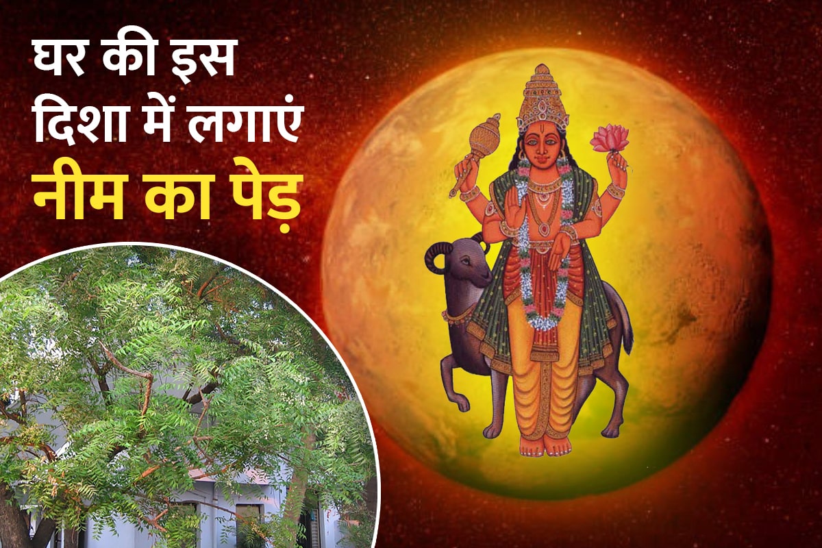 neem tree vastu, neem tree vastu direction, neem ka ped ghar mein kis disha mein lagana chahie, neem tree benefits in astrology, neem tree direction, where to plant neem tree as per vastu, vastu dosh ke upay, grah shanti upay, astrology tips for mars planet, pitra shanti ke upay, latest religious news,