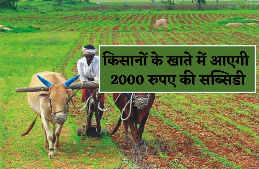 किसानों को मिलेगी 2000 रुपए क्विंटल की सब्सिडी, बैंक खाते में आएगा पैसा