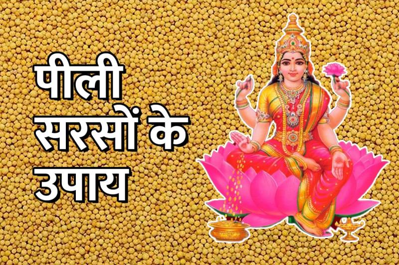 yellow mustard seeds benefits, peeli sarso ke upay, peeli sarson ke dane ke fayde astrology, yellow mustard seeds in astrology, astro tips for good luck, astrological tips for getting money, maa lakshmi ko prasann karne ke upay, astrological remedies for financial problems, JYOTISH SHASTRA, LATEST RELIGIOUS NEWS, 