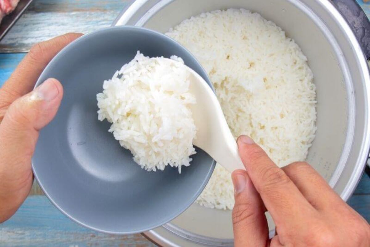 Rice Side Effects: अधिक मात्रा चावल का सेवन करने से सेहत को पहुंच सकता है नुकसान, जानें इसके साइड इफेक्ट्स