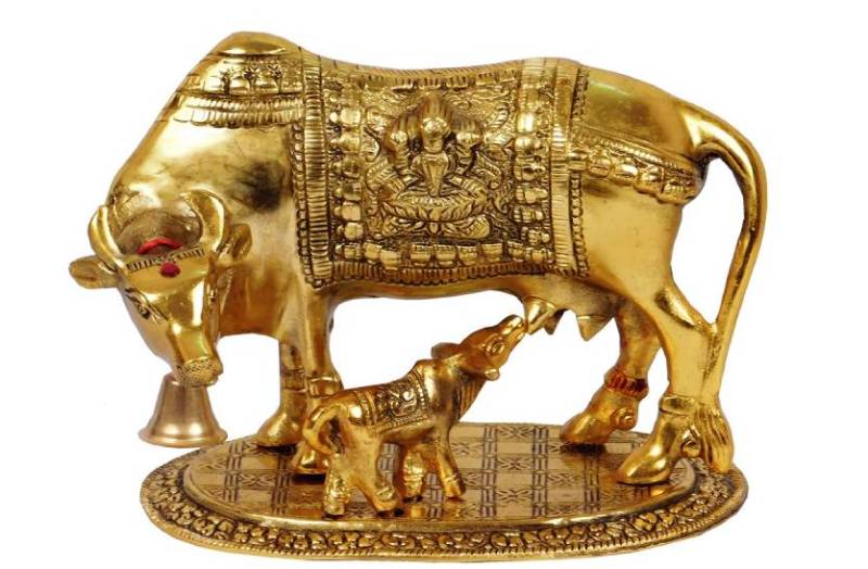 if_you_want_happiness_prosperity_then_put_kamdhenu_cow_photo_at_home.jpg