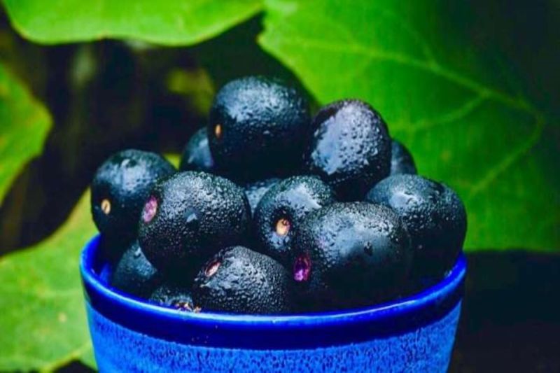 Jamun Side Effects: भूलकर भी इन लोगों को नहीं करना चाहिए जामुन का सेवन, सेहत को पहुंचा सकता है नुकसान
