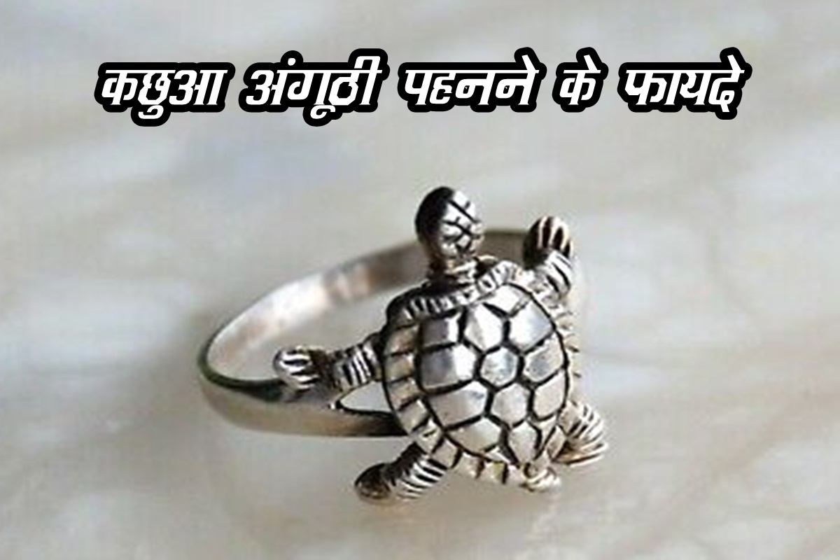Mahi Mate Tortoise Silver Ring for Mens : Amazon.in: Fashion