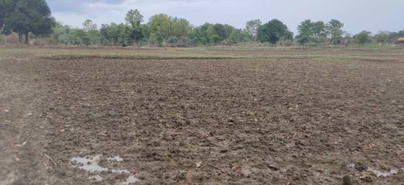 Video Story- The weather here is dishonest, due to weak rain, worry li