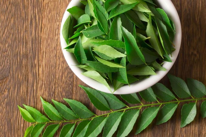 Benefits of Curry Leaves: करी का पत्ता आंखों की बढ़ाने और वजन को कम करने में होता है फायदेमंद