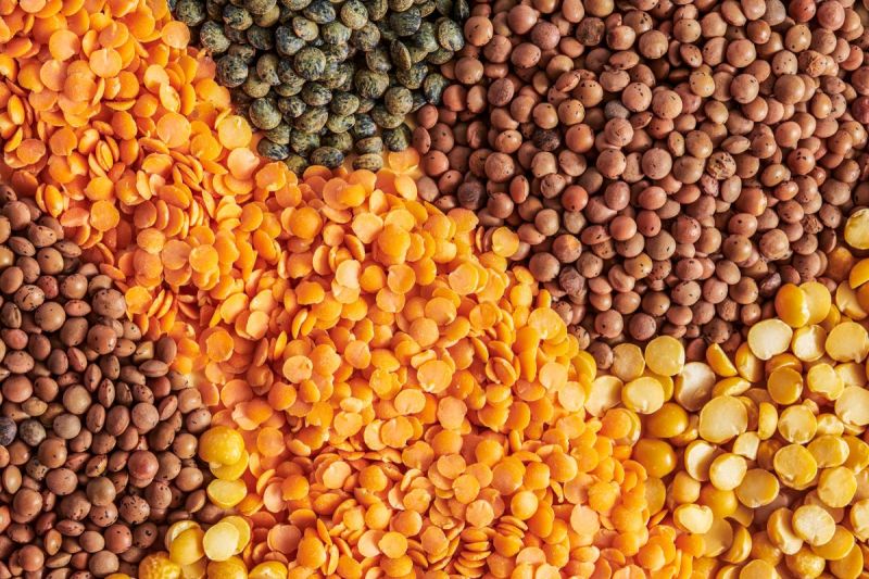 Home remedies to protect pulses from insects in rainy season 