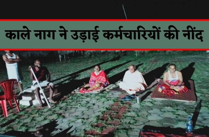 आधी रात काले नाग से जान बचाकर भागे कर्मचारी, रातभर डंडा लेकर बैठे फिर भी नहीं आई नींद