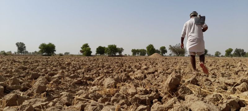 soilबदलाव: खेतों की माटी में अब बारिश की बूंदों से नहीं आती सौंधी महक