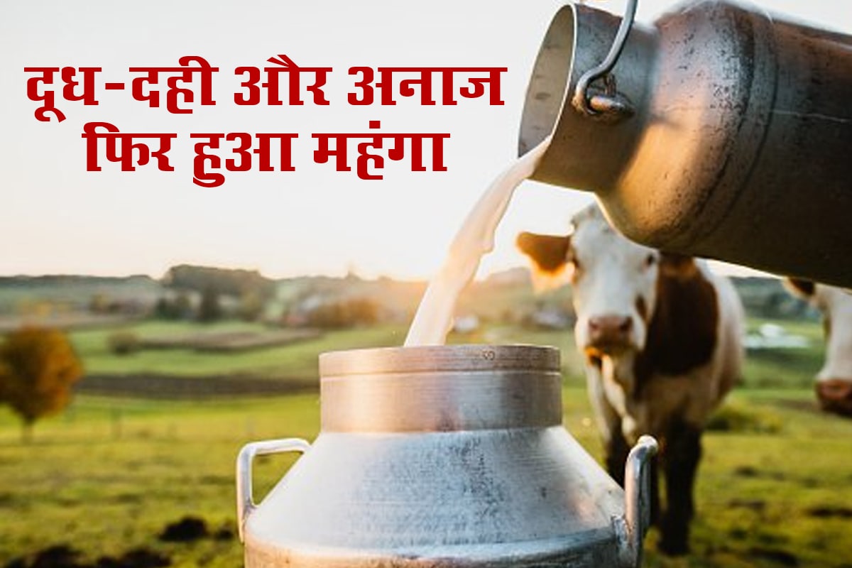  Under the GST price of Milk curd lassi and Flour price Increased in India