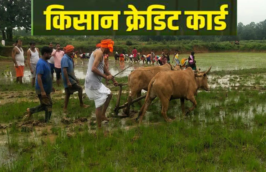 kisan credit card