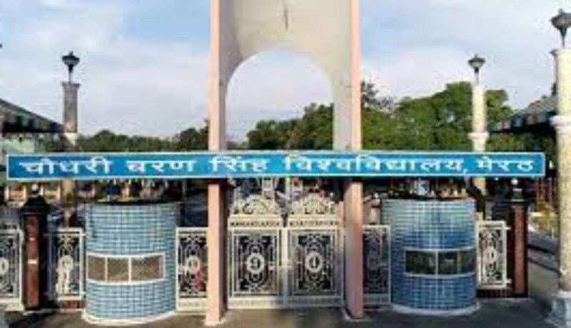 CCSU Exam Updates : सीसीएसयू की 20 से 27 जुलाई तक की परीक्षाएं स्थगित, बीएड परीक्षा के चार पेपरों में बदलाव