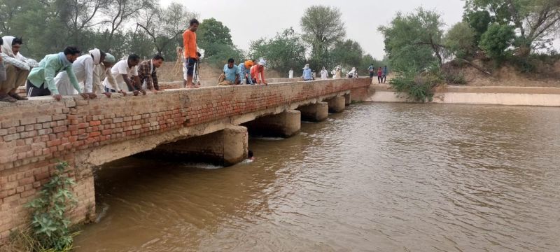 बेटों से अलग रहने वाले सत्तर पार वृद्ध दंपती कूदे नहर में, बुजुर्ग की मौत, वृद्धा को बचाया