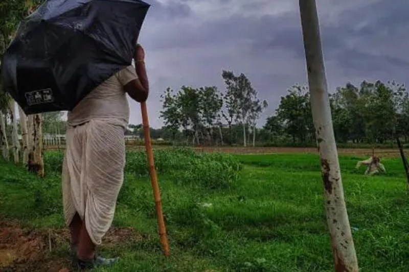 Monsoon Update : मानसून को लेकर किसानों के लिए कृषि विभाग की एडवाइजरी जारी