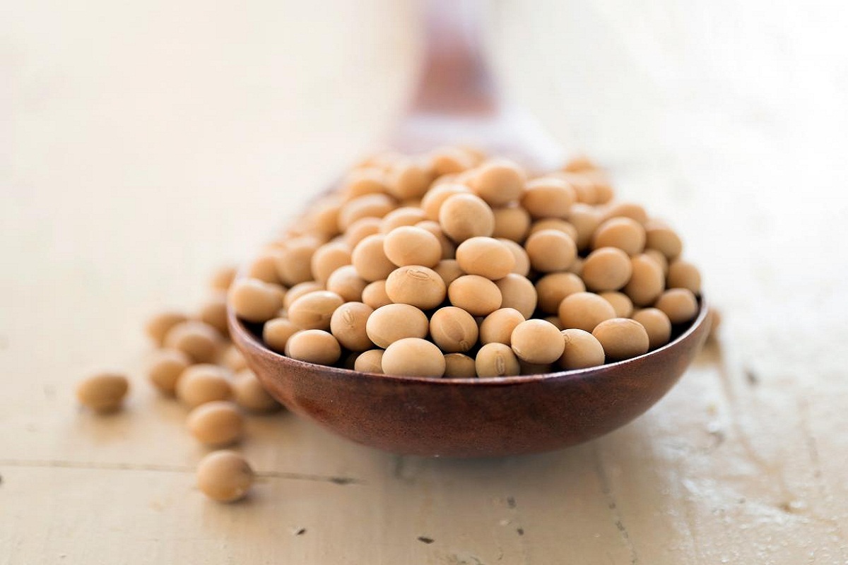 Soybean Benefits: सोयाबीन के है कमाल के फायदे, कई बीमारियों के लिए है रामबाण