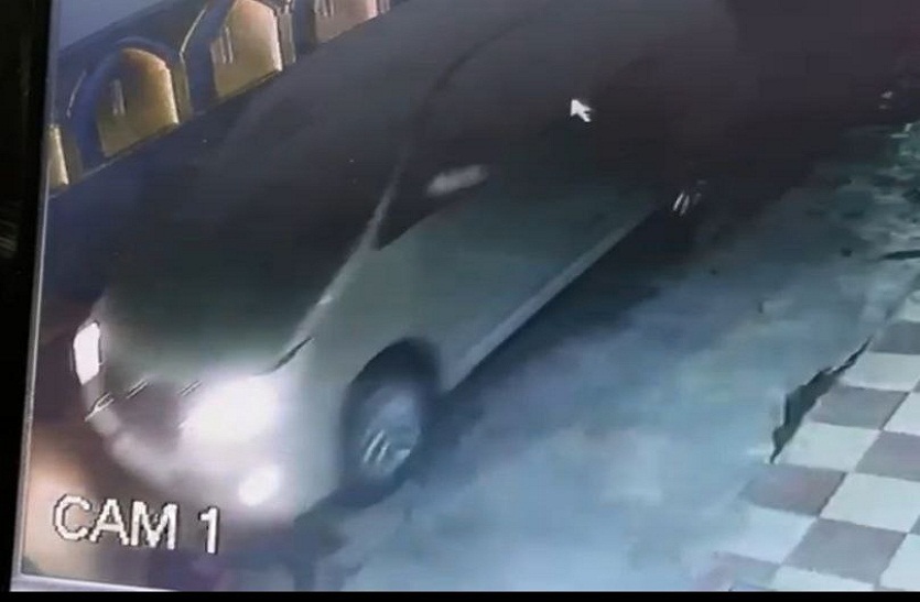 panther in cctv