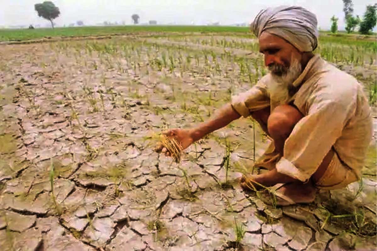 Bihar Weather Update: 30 percent rain deficiency hits farmers, humidity temperature rises
