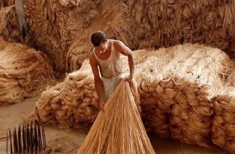 पश्चिम बंगाल में मिलों को जूट फाइबर की आपूर्ति धीमी