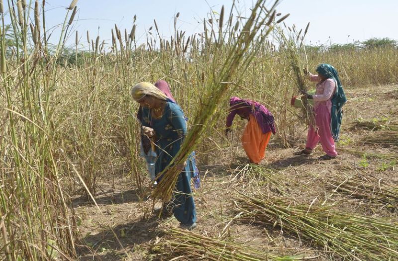 किसान अब किसी भी अधिकृृत डीलर से अनुदान पर खरीद सकेगा कृृषि आदान