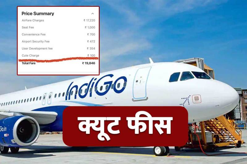 indigo-airline-charges-cute-fee-from-passengers-know-what-it-means.jpg