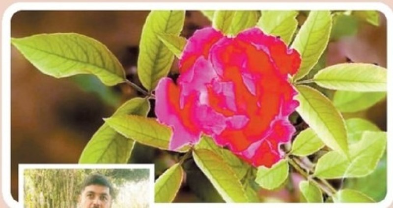 मेहनत की बूंदों से... खुशी के फूल