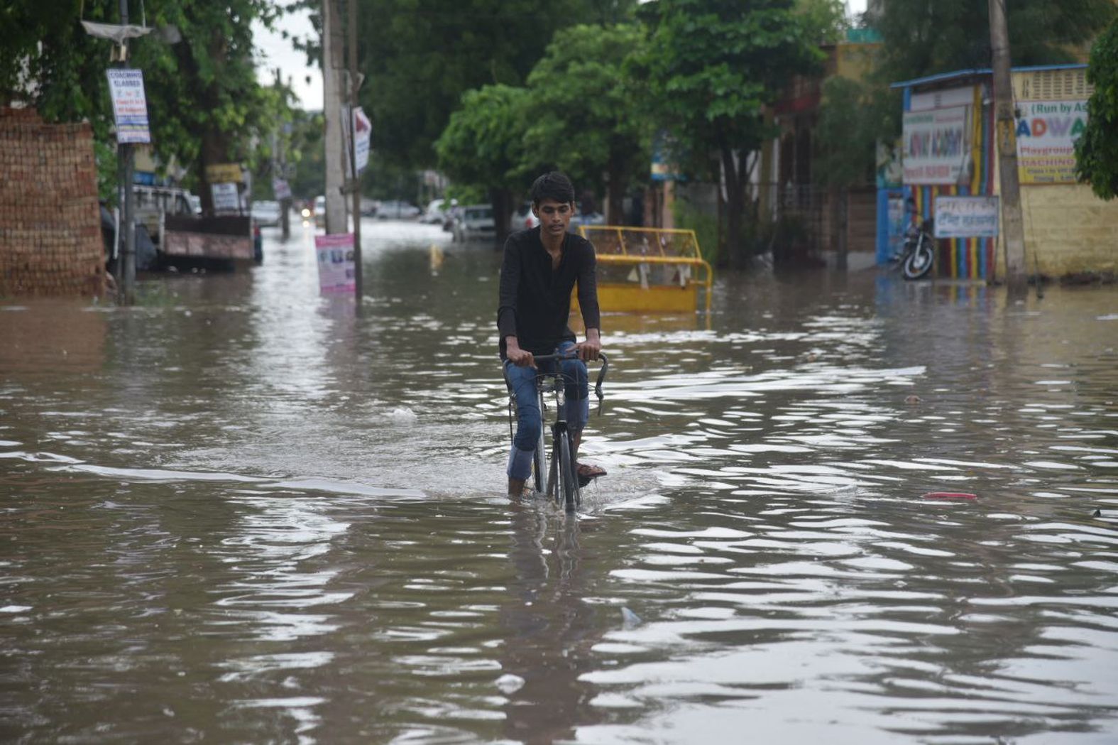Mansoon: शहर में मूसलाधार बारिश, पानी में फंसे वाहन, कई पेड़ गिरे