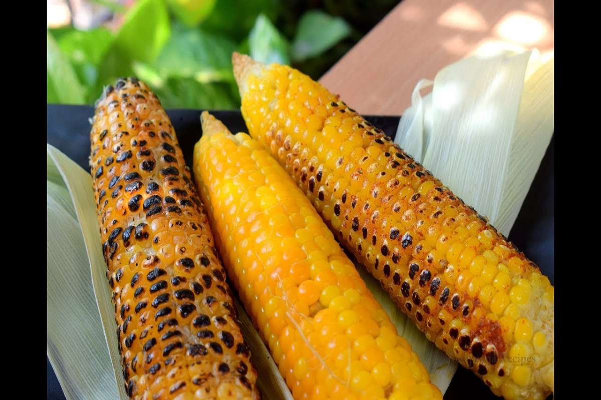 Maize Benefits: बरसात के मौसम में खाएं गरमा गर्म भुट्टे, सेहत को मिलेंगे गजब के फायदे 
