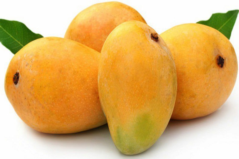 chausa-mango-of-saharanpur.jpg