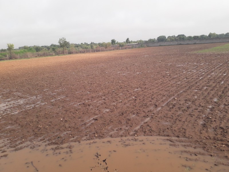 Government land occupied, Gram Panchayat appealed to Tehsildar