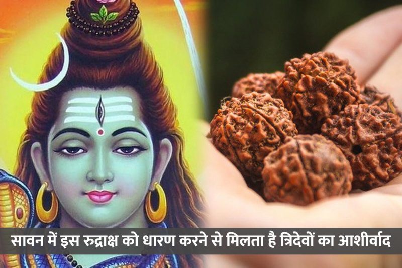 how rudraksha is formed, rudraksh ki utpatti kaise hui, teen mukhi rudraksha, benefits of wearing 3 mukhi rudraksha, sawan month 2022, sawan me kaun sa rudraksha pehna chahiye, benefits of 3 mukhi rudraksha, sawan me kya karna chahiye, तीन मुखी रुद्राक्ष पहनने के फायदे, तीन मुखी रुद्राक्ष का महत्व,