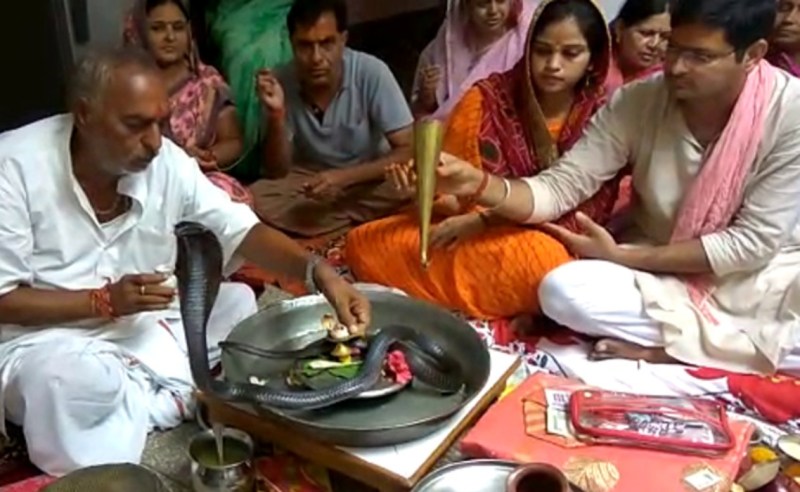 Kaal Sarp Dosh Puja in Sawan : जीवित सांपों की बढ़ी मांग, नाग नागिन के जोड़े को तलाश रहे लोग