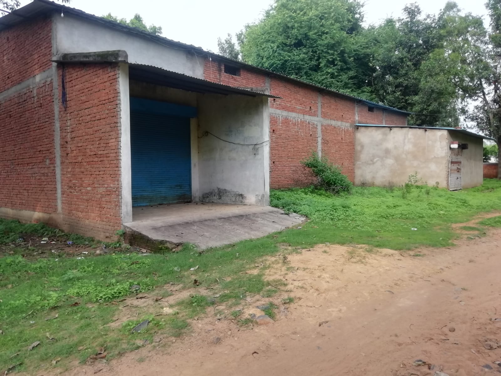 6400 quintals of rice rotted due to negligence of the responsible, los