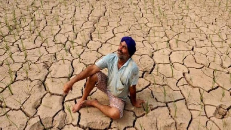 Big impact on crops along with humans cause of no rain Eastern UP Specialist warn