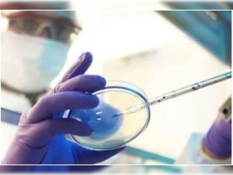 Chronic Aspergillus fungus patient found first time in Kanpur eye removed