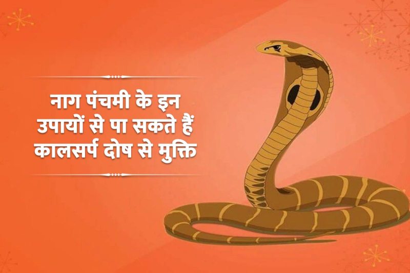 nag panchami 2022 kab hai, nag panchami 2022 date, nag panchami ka mahatva, nag panchami par kya kare, kaal sarp dosh nivaran upay, astrology tips for kalsarpa dosha, kaal sarp dosh se mukti ke upay, latest religious news,