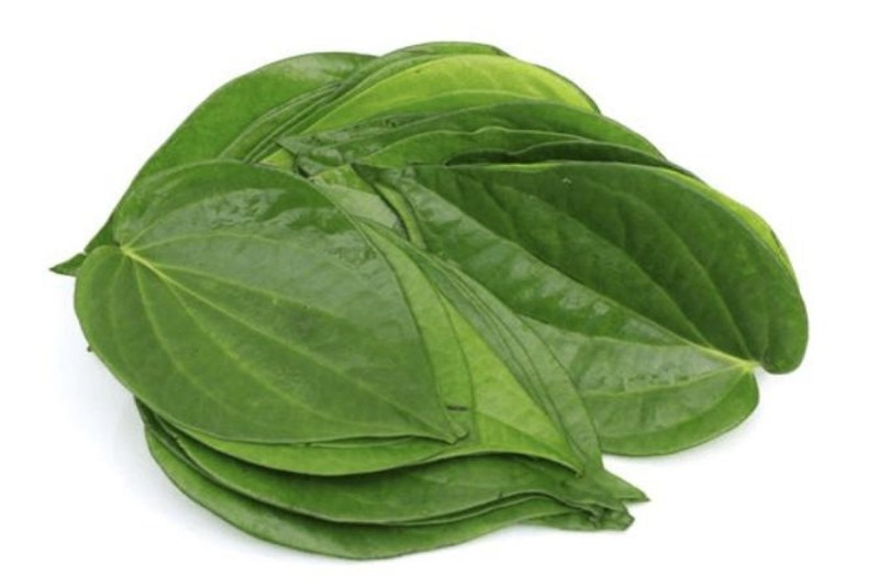 Betel Leaf Benefits: मुंह के छाले और पेट संबंधी समस्याओं को दूर करने में फायदेमंद होता है पान का पत्ता, जानें इसके अन्य फायदे