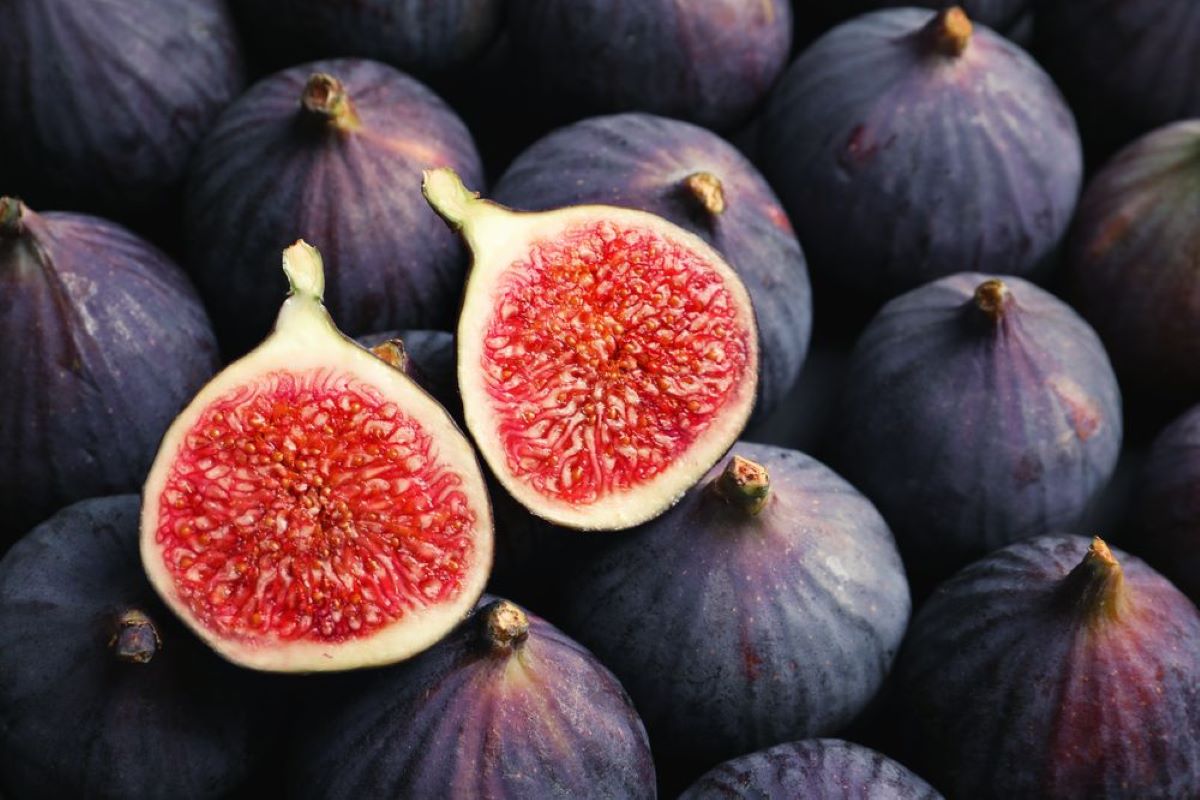 Dried Figs Or Anjeer Isolated On White Background Stock Photo - Download  Image Now - Close-up, Color Image, Fig - iStock