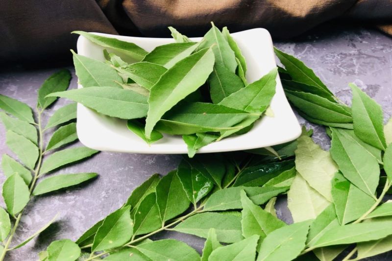 Curry Leaves Benefits: सुबह खाली पेट करी पत्ता खाने से मिलते है अनगिनत फायदे, कई समस्याएं होती है दूर