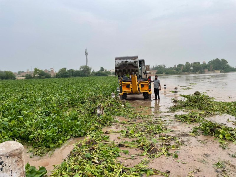 घग्घर नदी में पानी से खुशी, कमजोर बंधों से नदी में कटाव की चिंता, कैली बनी मुसीबत
