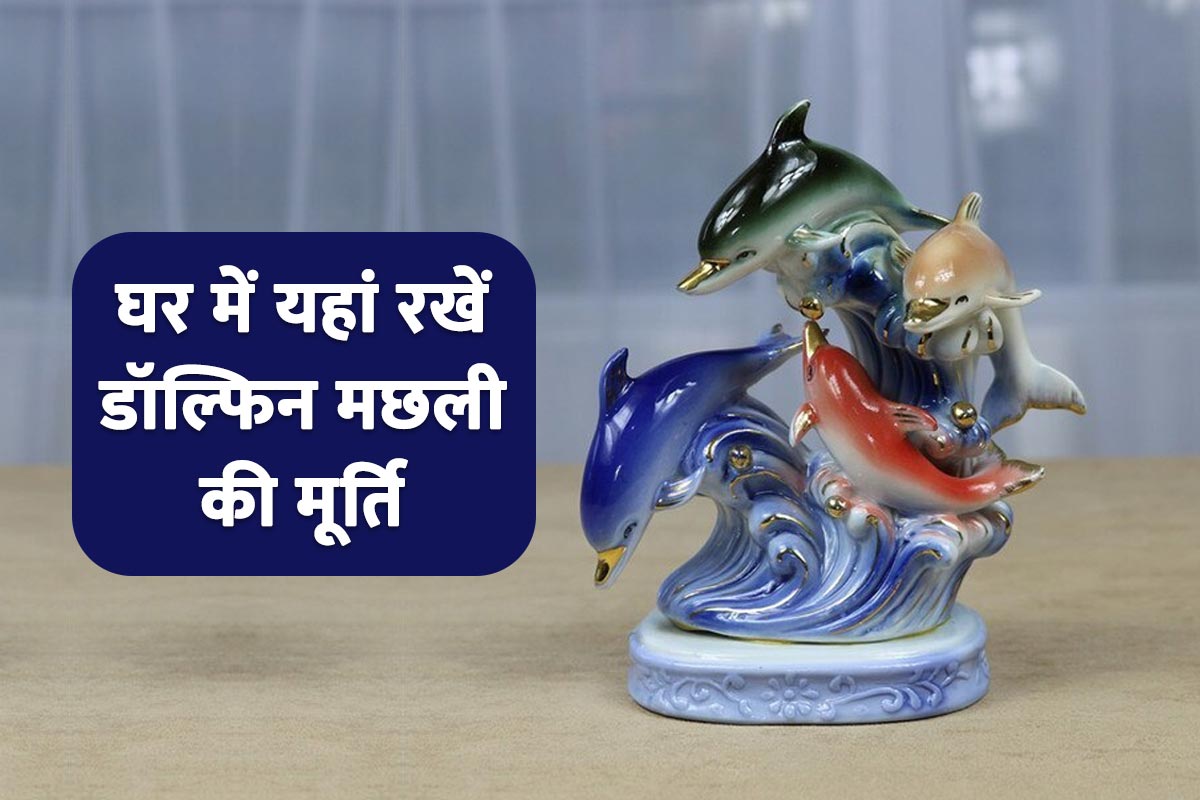 feng shui shastra, dolphin statue for home, dolphin machhali, feng shui dolphin placement, feng shui tips for money luck, feng shui tips for career and wealth, study room feng shui tips, feng shui tips for job getting,