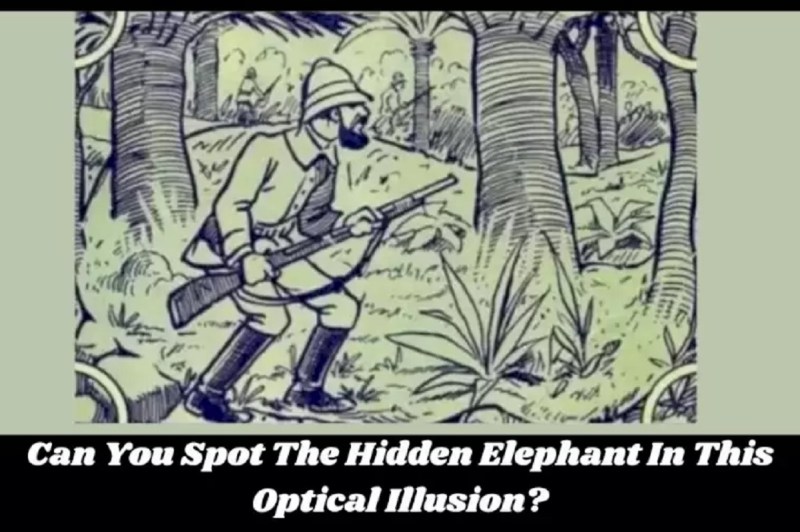 Can You Spot The Hidden Elephant In This Drawing? If you spotted the elephant already, your eyesight might be better than 99% of the world
