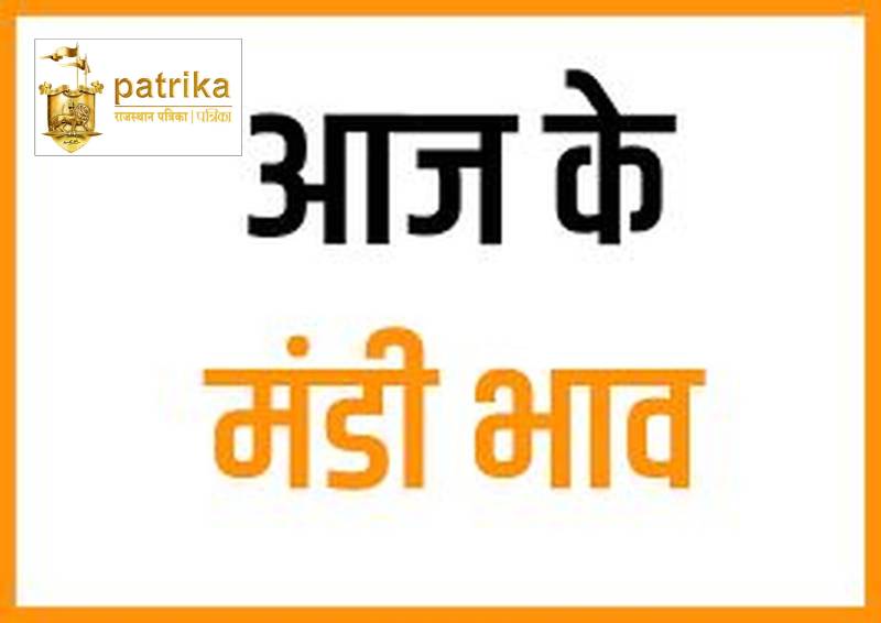 कृषि उपज मंडी अपडेट: कृषि उपज मंडी में कृषि जिंसों के भाव