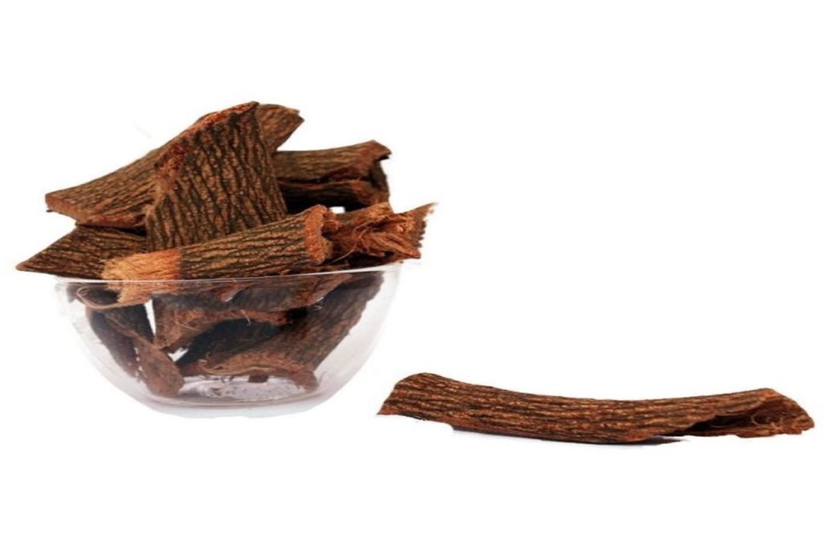 Ashoka Tree Bark Benefits: अशोक के पेड़ की छाल बवासीर और स्किन की बीमारियों के लिए है रामबाण इलाज, महिलाओं की सेहत के लिए होता है फायदेमंद