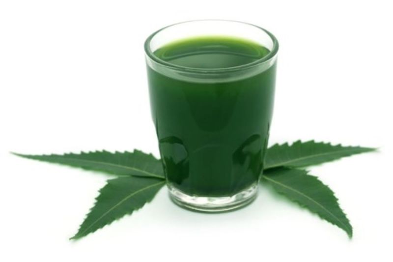 Neem Juice Benefits: नीम के जूस में छिपे हैं कई औषधीय गुणों के राज, इंफेक्शन से बचाने में होता है सहायक