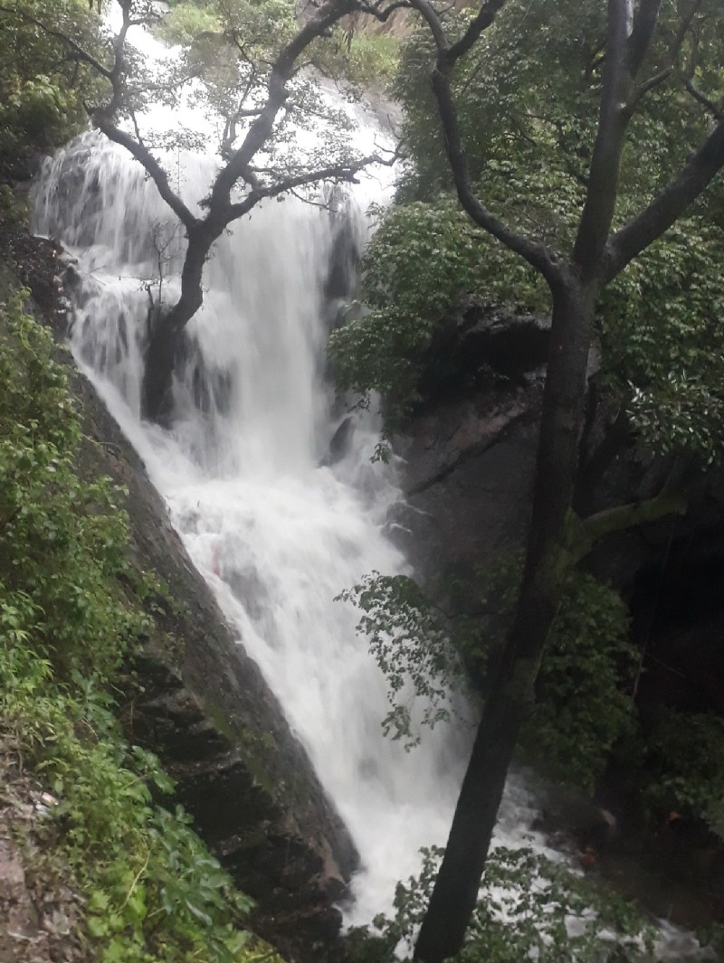 सैलानियों के आकर्षण का केंद्र बने झरने