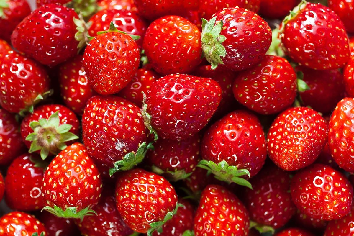 Strawberry Benefits: स्ट्रॉबेरी इम्यूनिटी और हड्डियों को मजबूत बनाने में होता है फायदेमंद, जानें अन्य फायदे