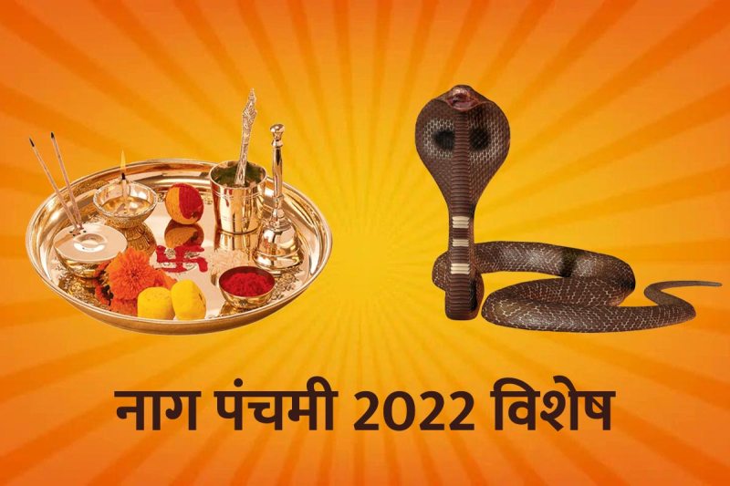 nag panchami puja time, nag panchami 2022 mein kab hai, nag panchami 2022 shubh muhurat, nag panchami august mein kab hai, nag panchami puja samagri, nag panchami puja kaise kare, nag panchami shubh muhurat,