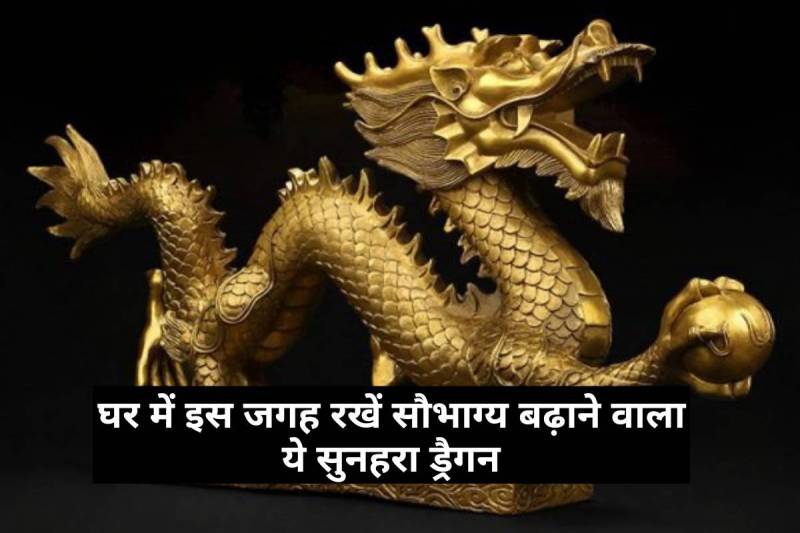 feng shui dragon statue, where to place a dragon statue feng shui, golden dragon statue, feng shui tips for good luck, feng shui tips for health wealth and prosperity, feng shui tips for money, 